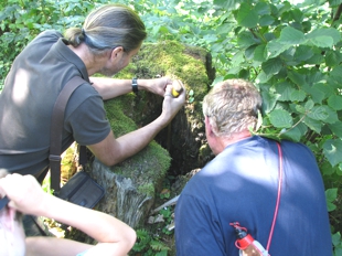 Sortie de groupe pour entreprise — Suisse romande